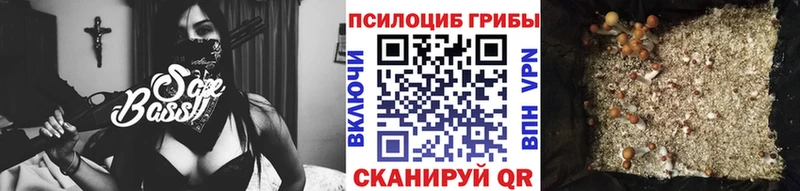 Галлюциногенные грибы Magic Shrooms  сколько стоит  Данилов 